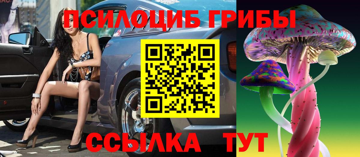 Псилоцибиновые грибы MAGIC MUSHROOMS Губкинский