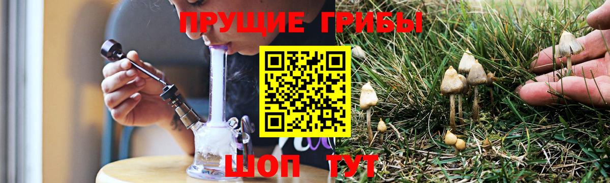 Губкинский  Галлюциногенные грибы Magic Shrooms  закладка  Вход с VPN  Галлюциногенные грибы мухоморы 