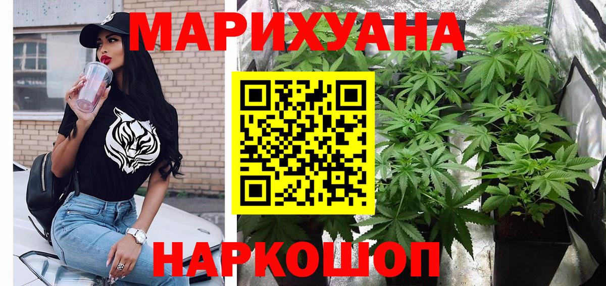 Губкинский  Конопля тримм  Бошки Шишки индика  МАРИХУАНА планчик  Вход с VPN 