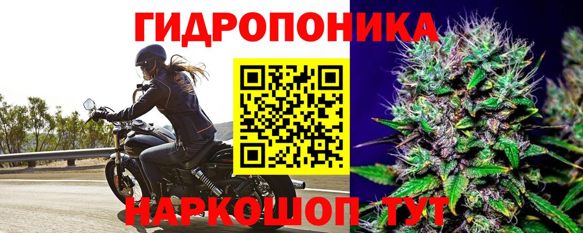 Марихуана планчик Губкинский